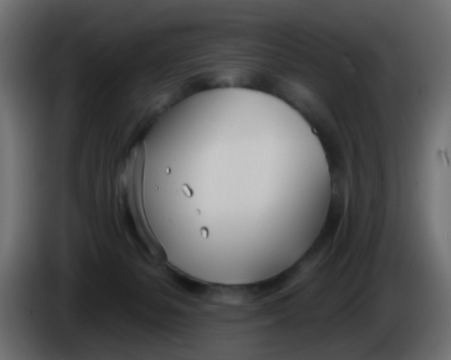 X0000086070127200704132049