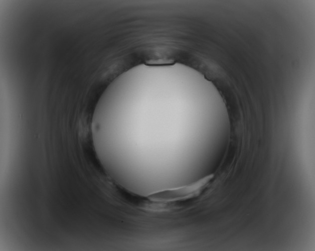 X0000086070129200704132049