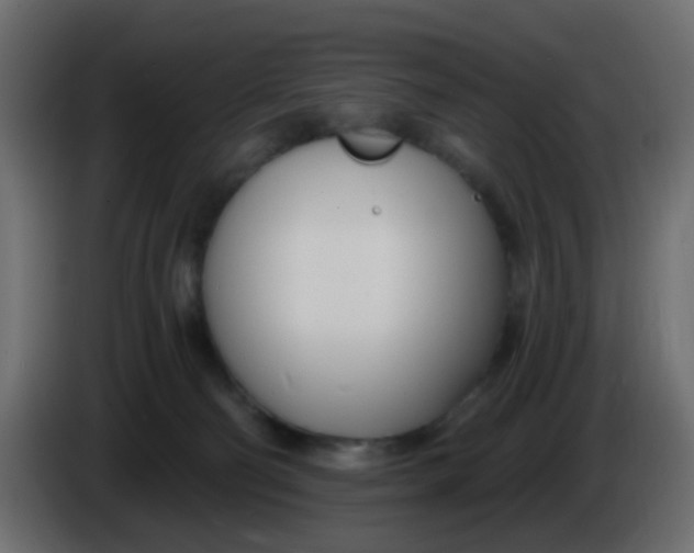 X0000086070130200704132049