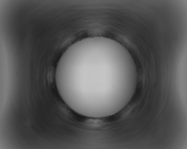 X0000086070133200704132049