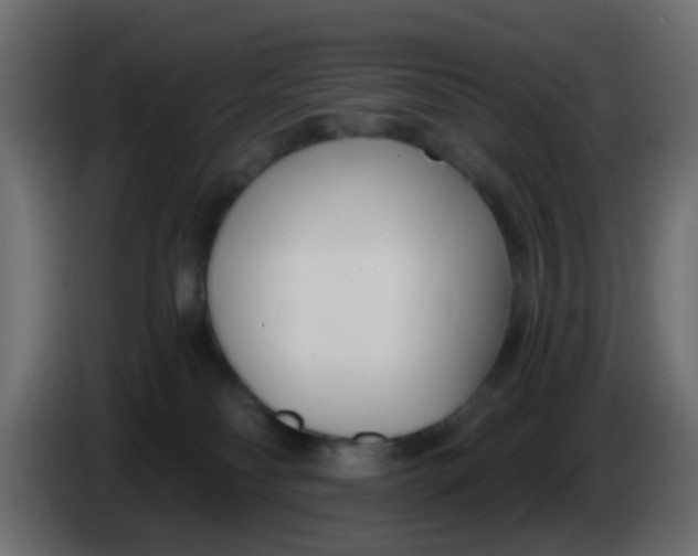 X0000086070134200704132049