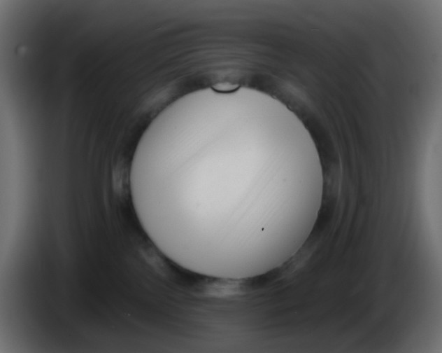 X0000086070138200704132048