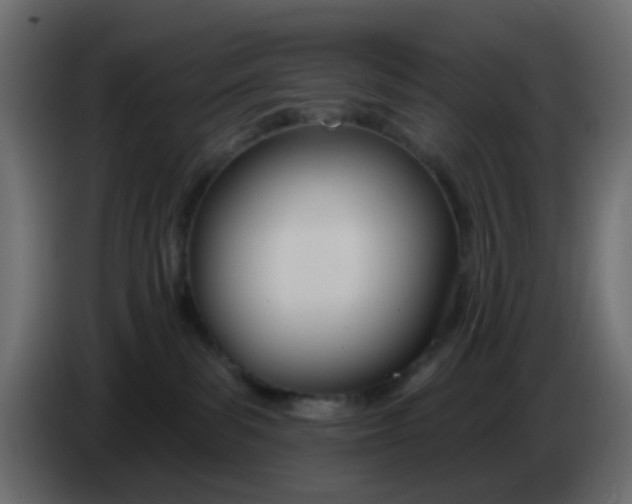 X0000086070139200704132048