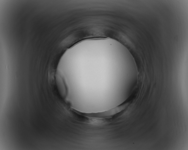 X0000086070141200704132048