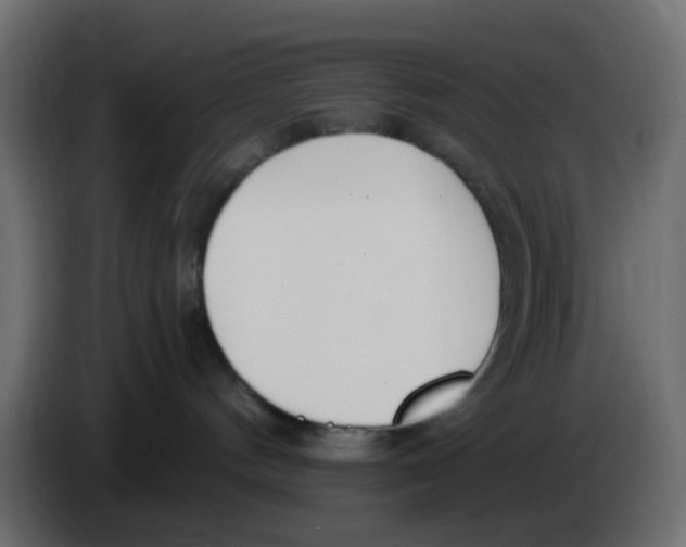 X0000086070144200704132048