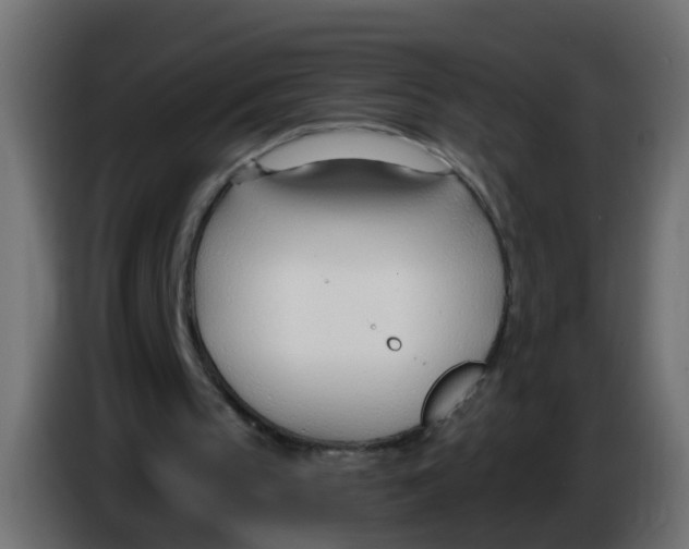 X0000086070145200704132048