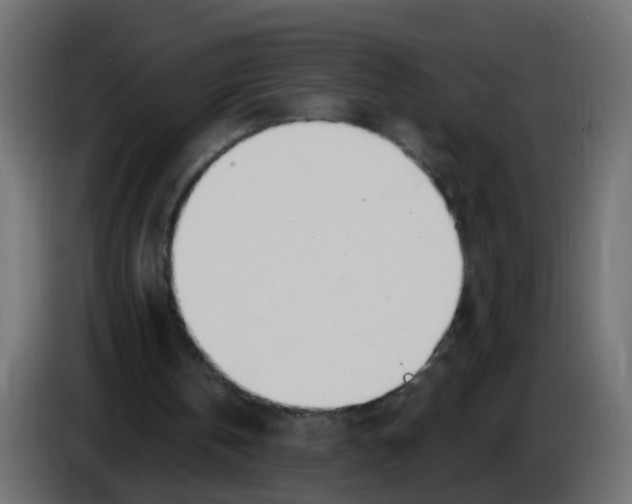 X0000086070146200704132048