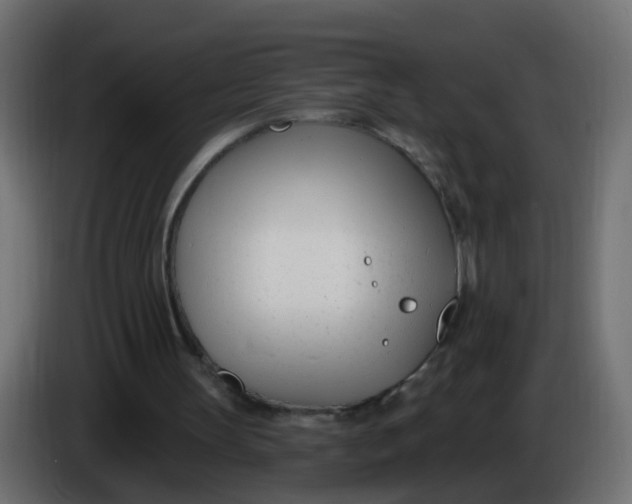 X0000086070147200704132048