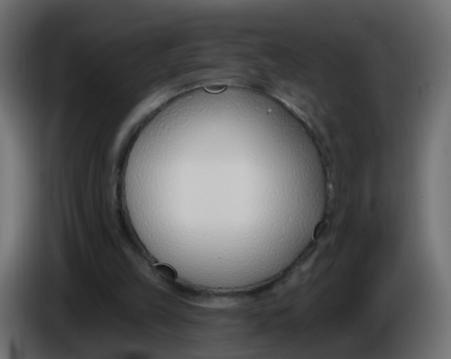 X0000086070149200704132048