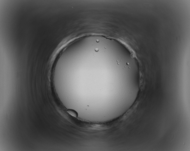 X0000086070151200704132048