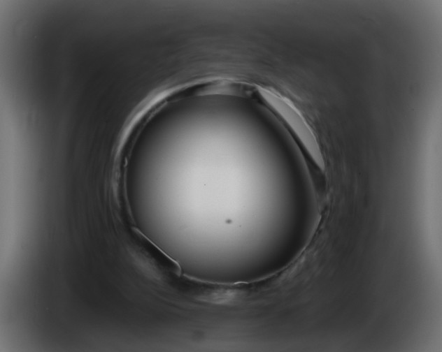 X0000086070152200704132048