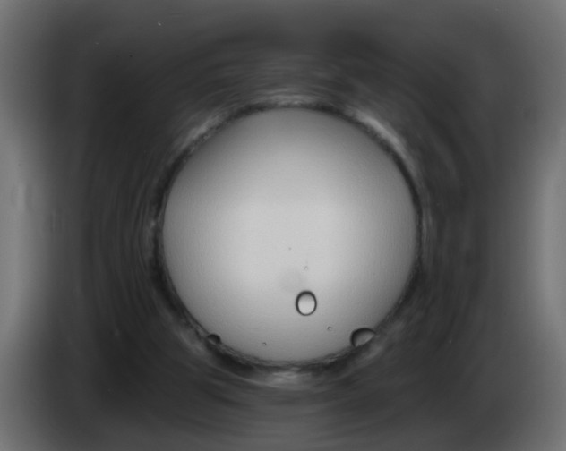 X0000086070153200704132048