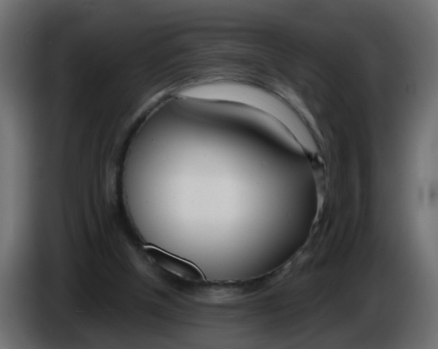 X0000086070154200704132048