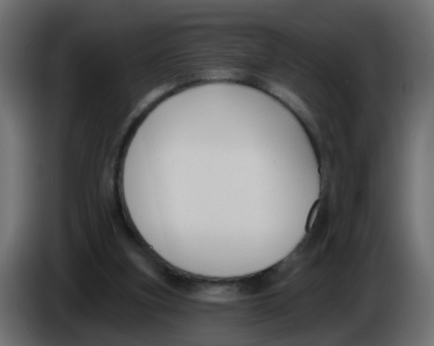 X0000086070155200704132048