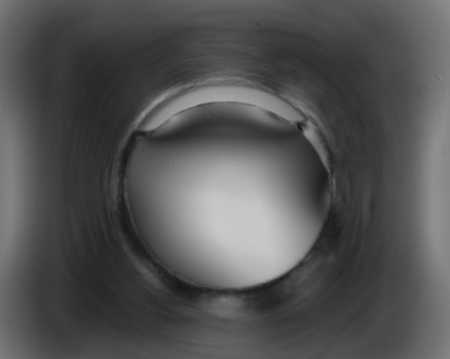 X0000086070156200704132048