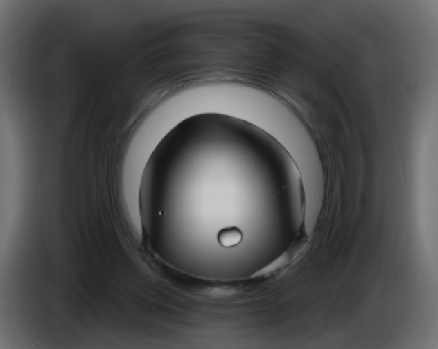 X0000086070158200704132048