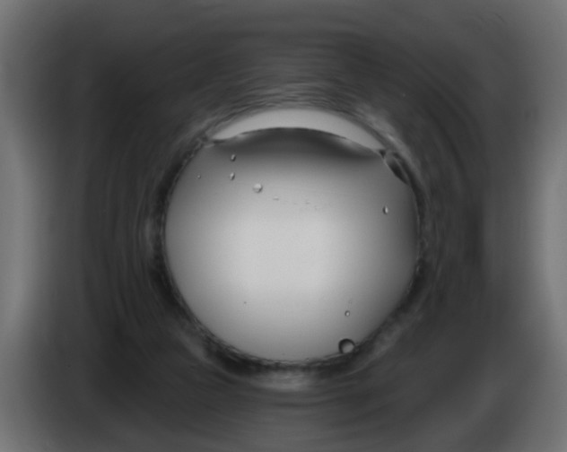 X0000086070161200704132048