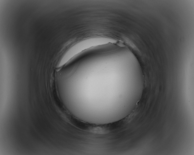 X0000086070163200704132048