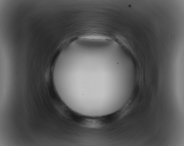 X0000086070167200704132048