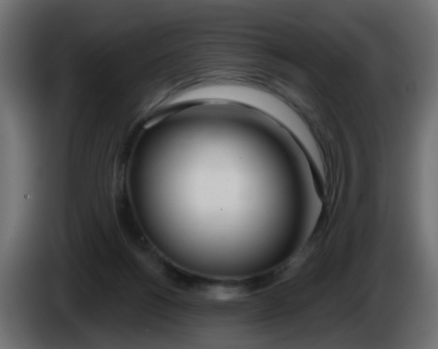 X0000086070168200704132048