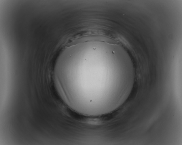 X0000086070169200704132048