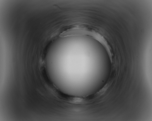 X0000086070176200704132048