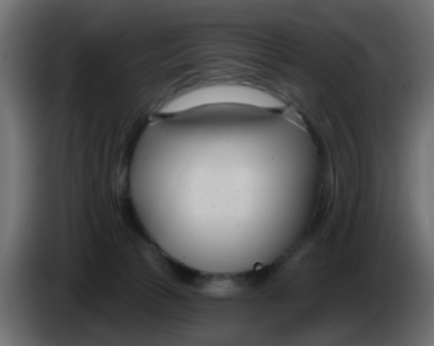 X0000086070177200704132048