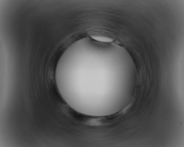 X0000086070178200704132048