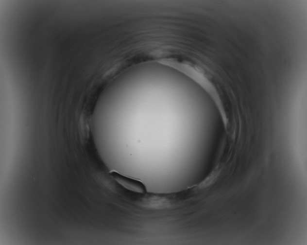 X0000086070180200704132048