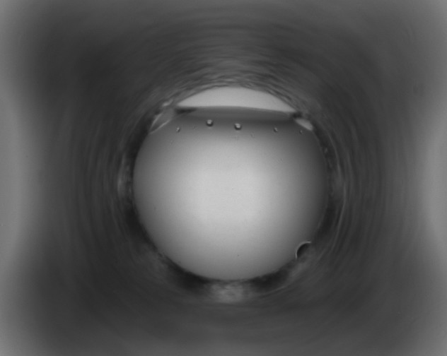 X0000086070181200704132048