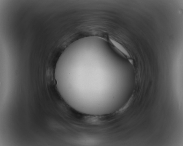 X0000086070182200704132048