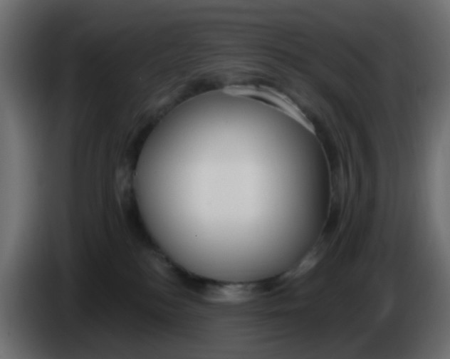 X0000086070184200704132048