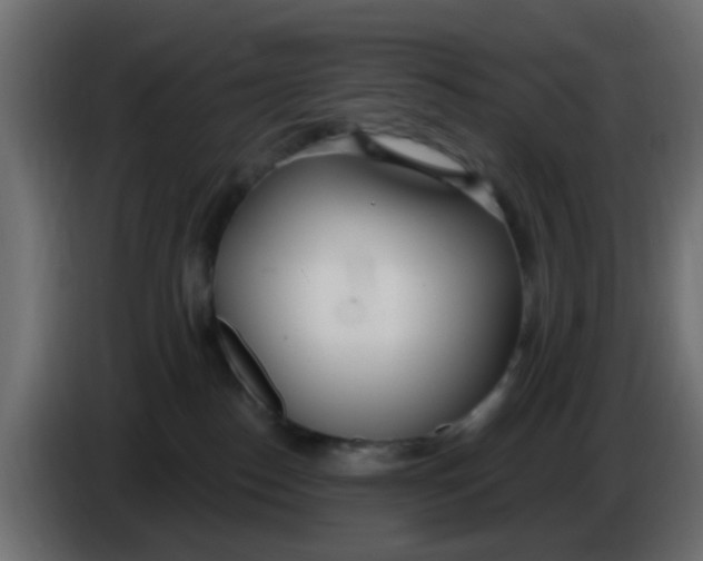 X0000086070186200704132048