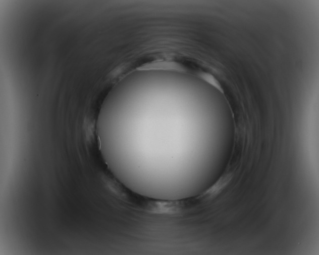 X0000086070188200704132048