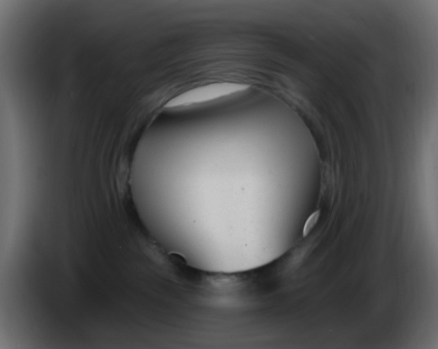 X0000086070189200704132048