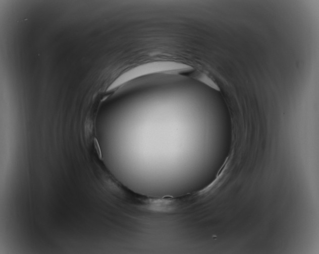 X0000086070192200704132048