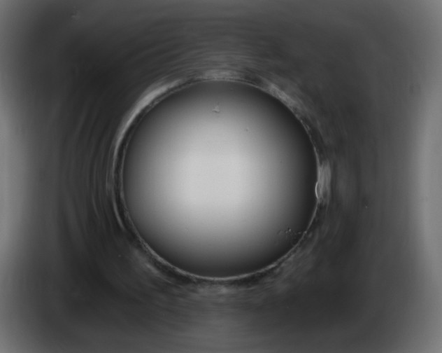 X0000086070195200704132048