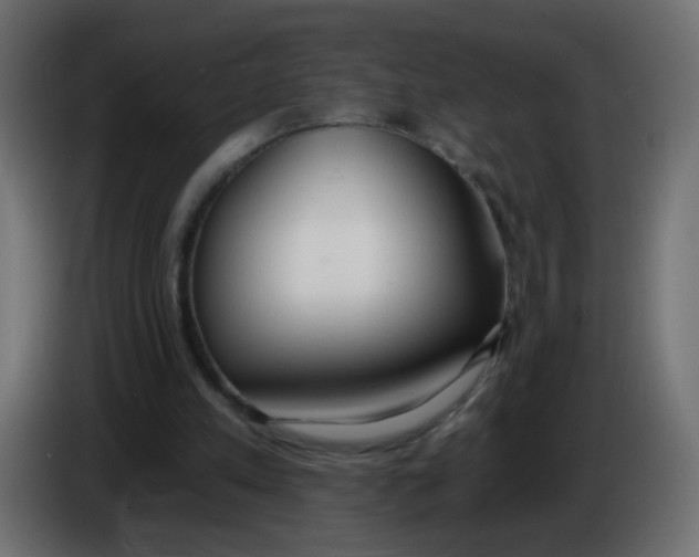 X0000086070197200704132048