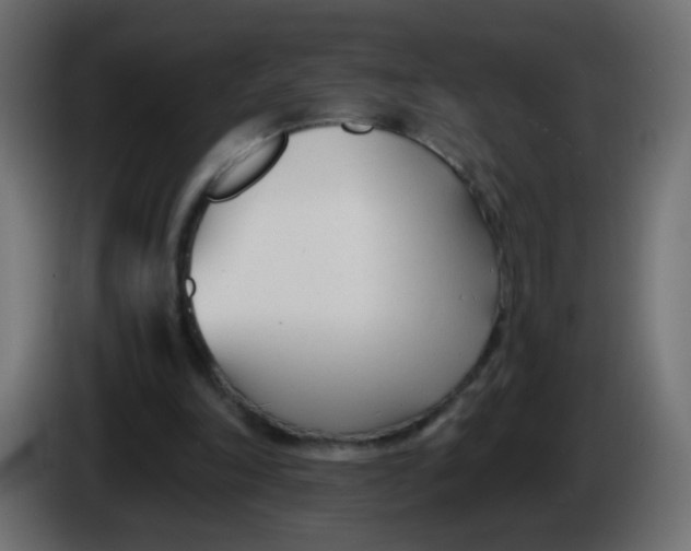 X0000086070198200704132048