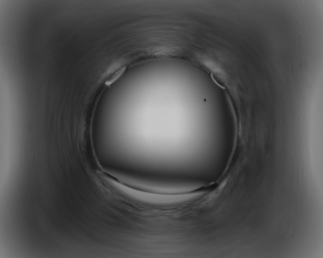 X0000086070201200704132048