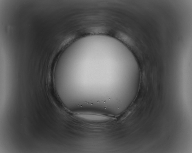 X0000086070202200704132048