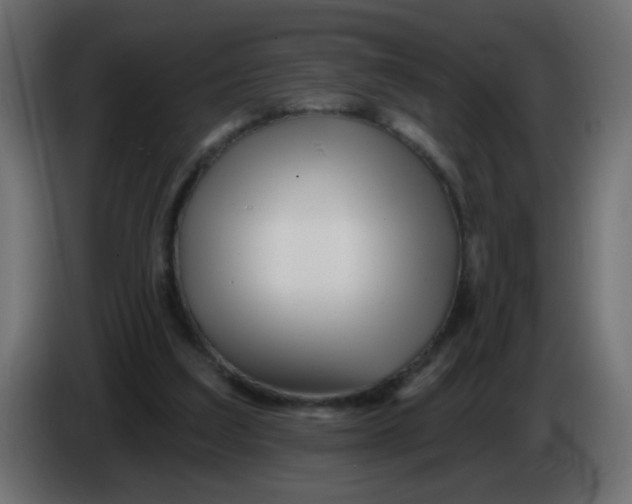 X0000086070203200704132048