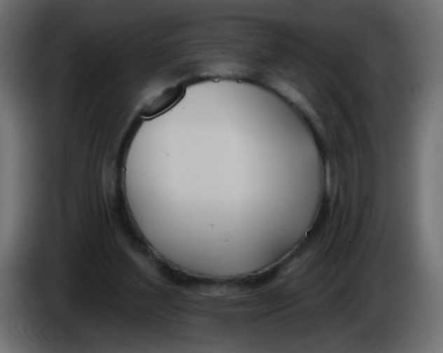 X0000086070204200704132048