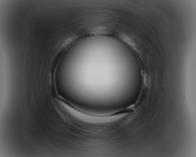 X0000086070205200704132048