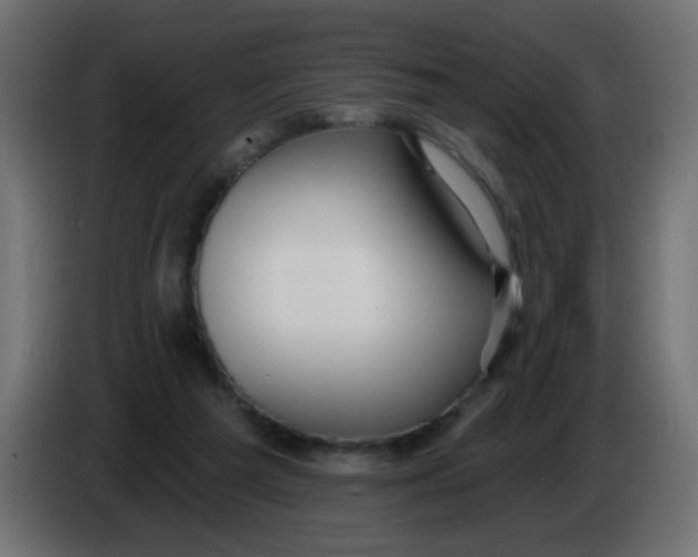 X0000086070209200704132047