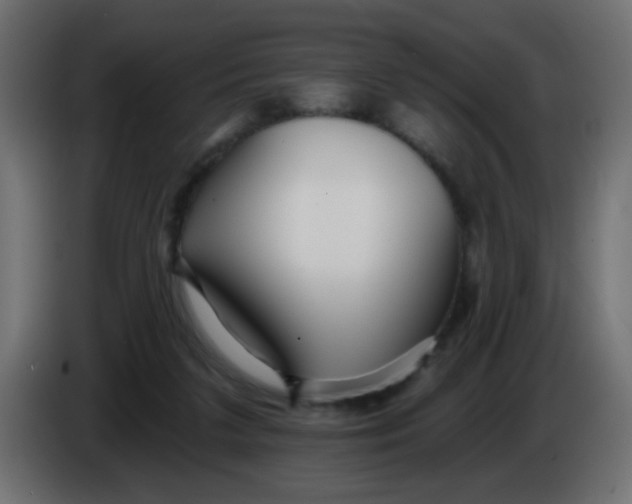 X0000086070211200704132047