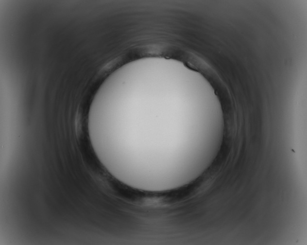 X0000086070216200704132047