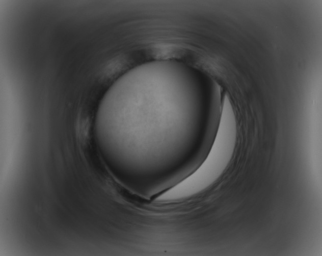 X0000086070219200704132047