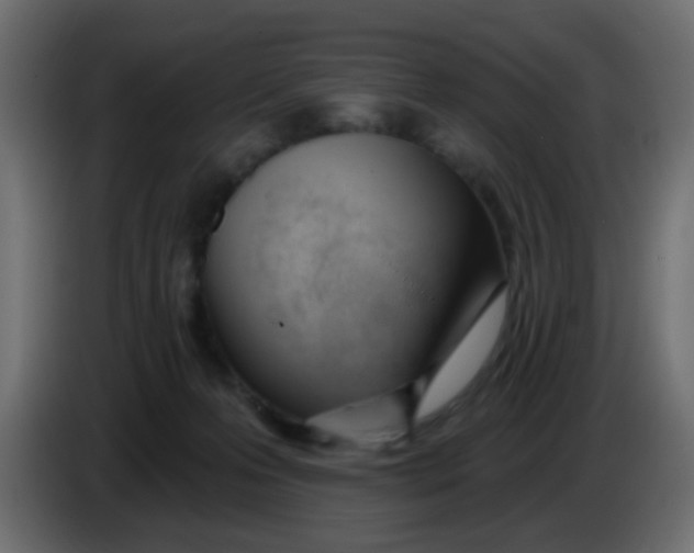 X0000086070223200704132047