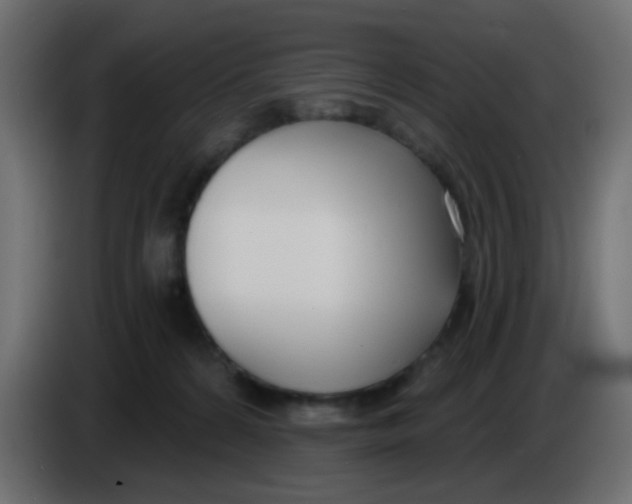 X0000086070224200704132047